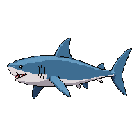 mako shark