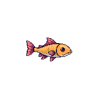 minnow fish