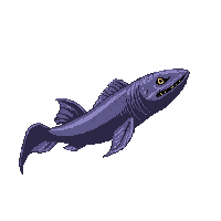 moray eel fish