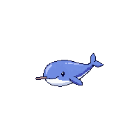 narwhal