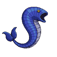 nautilus