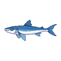 needlefish
