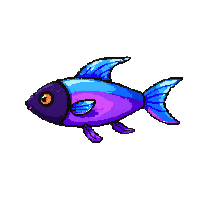 neon tetra fish