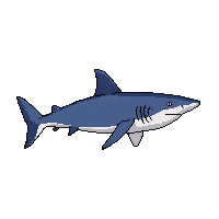 nurse shark