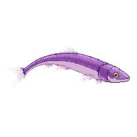 oarfish
