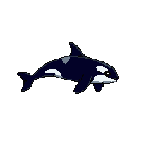 orca