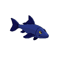 paddlefish