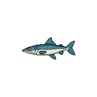 pike fish