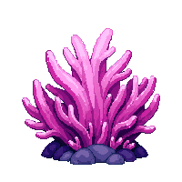 pink coral