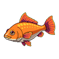 rockfish