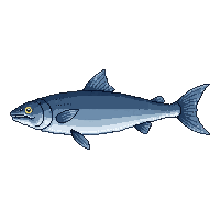 sablefish