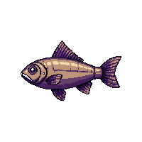 scup fish