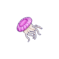 sea anemone