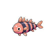sea cucumber