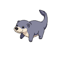 sea otter