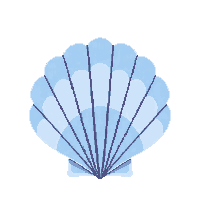 sea shell