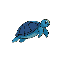 sea turtle