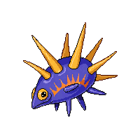 sea urchin