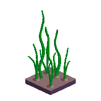 seagrass