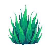 seaweed clump