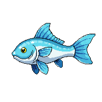 sheepshead fish