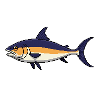 skipjack fish