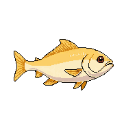 snapper fish