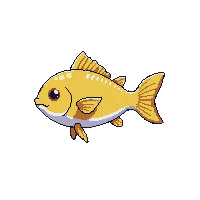 sunfish mola fish