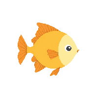 sunfish