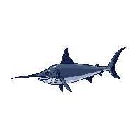 swordfish