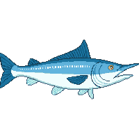 tarpon fish