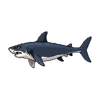 tiger shark