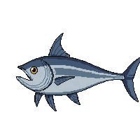 tuna fish