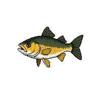 walleye fish