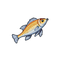 topwater lure