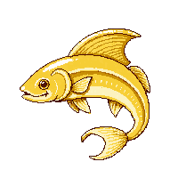 barracuda trophy gold