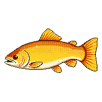 brown trout trophy gold