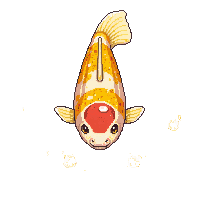 koi yamabuki gold