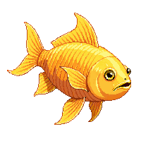 tilapia trophy gold