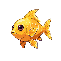 triggerfish trophy gold