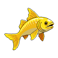 wahoo trophy gold