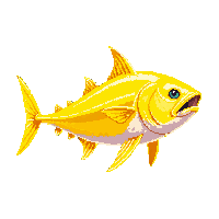 yellowfin tuna trophy gold