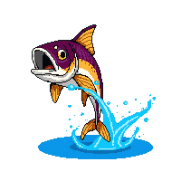 amberjack leaping