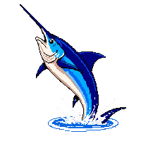 blue marlin leaping