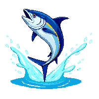 bluefin tuna leaping