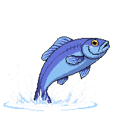 bluegill leaping