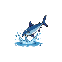 cobia leaping