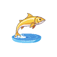 dorado leaping