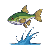 haddock leaping