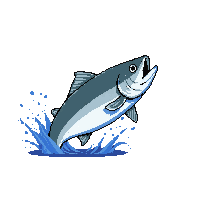 halibut leaping